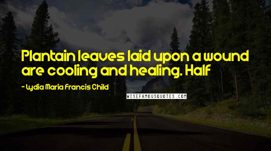 Lydia Maria Francis Child Quotes: Plantain leaves laid upon a wound are cooling and healing. Half
