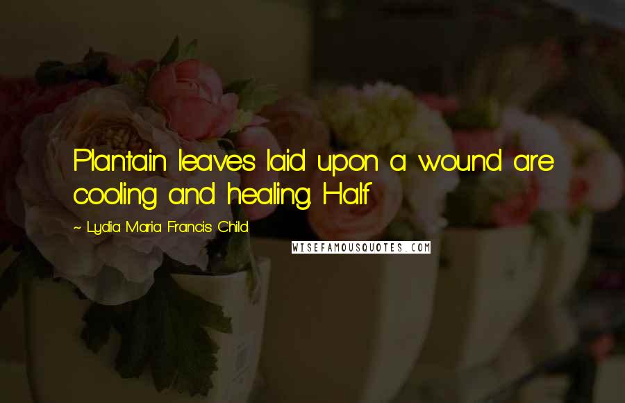 Lydia Maria Francis Child Quotes: Plantain leaves laid upon a wound are cooling and healing. Half