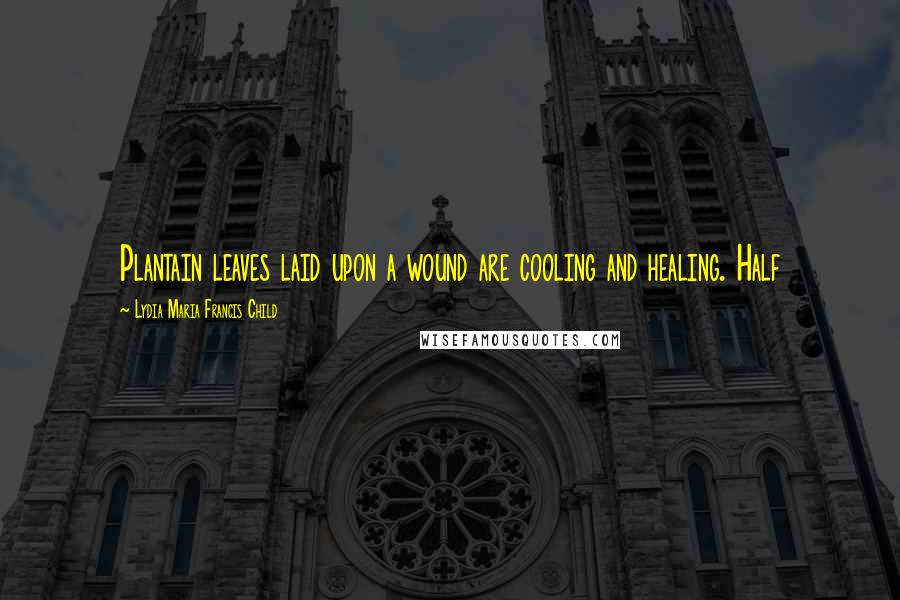 Lydia Maria Francis Child Quotes: Plantain leaves laid upon a wound are cooling and healing. Half
