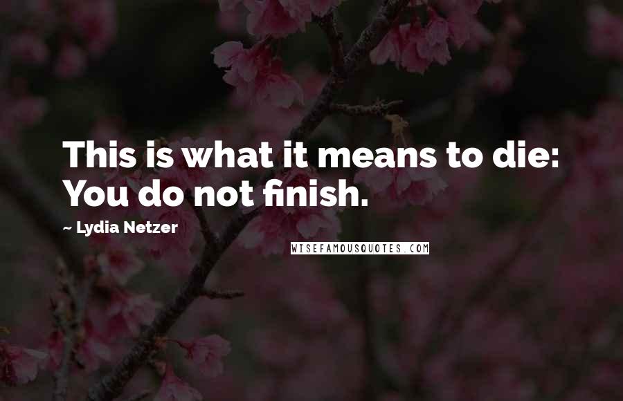 Lydia Netzer Quotes: This is what it means to die: You do not finish.