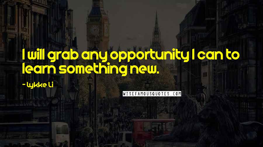 Lykke Li Quotes: I will grab any opportunity I can to learn something new.