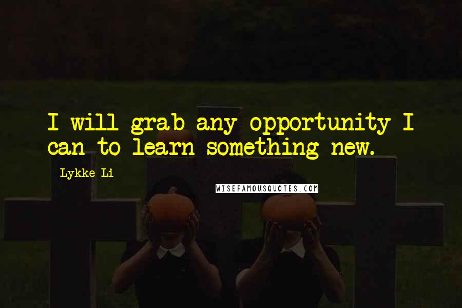 Lykke Li Quotes: I will grab any opportunity I can to learn something new.