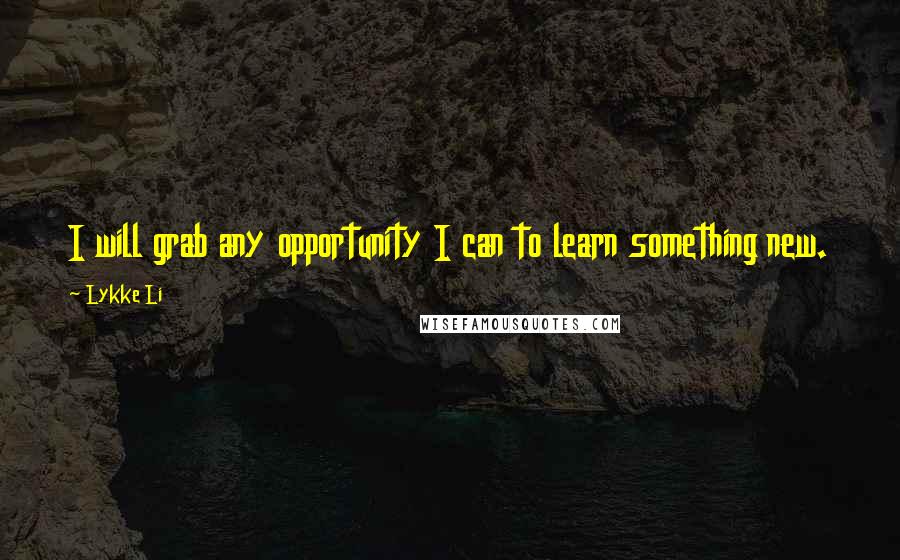 Lykke Li Quotes: I will grab any opportunity I can to learn something new.