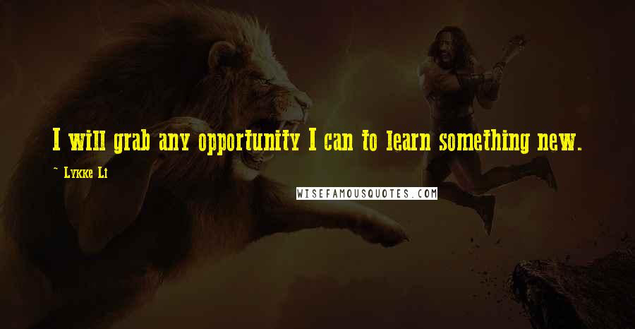 Lykke Li Quotes: I will grab any opportunity I can to learn something new.