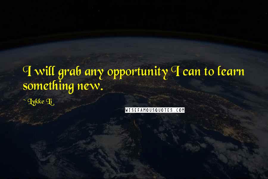 Lykke Li Quotes: I will grab any opportunity I can to learn something new.