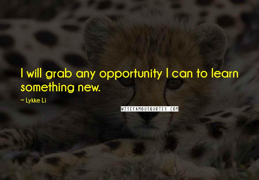 Lykke Li Quotes: I will grab any opportunity I can to learn something new.