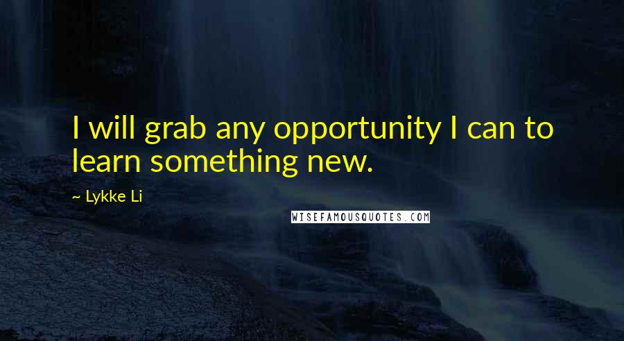 Lykke Li Quotes: I will grab any opportunity I can to learn something new.