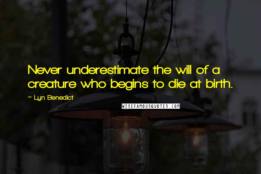 Lyn Benedict Quotes: Never underestimate the will of a creature who begins to die at birth.