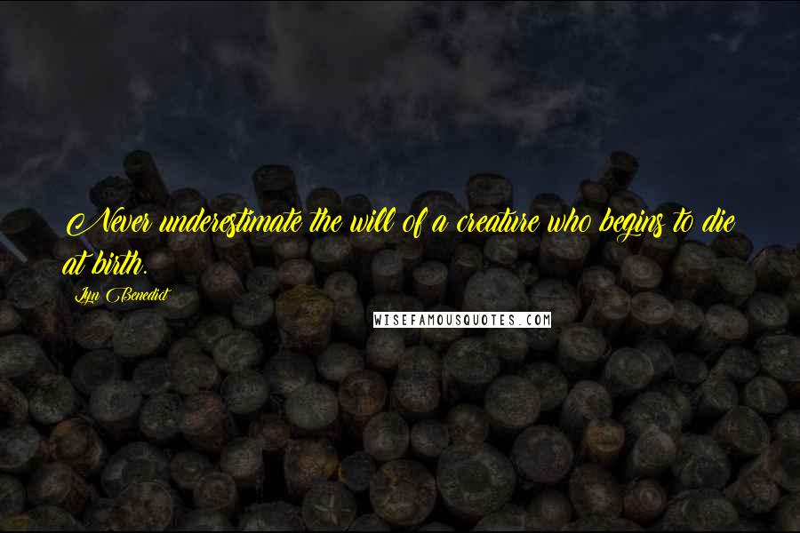 Lyn Benedict Quotes: Never underestimate the will of a creature who begins to die at birth.