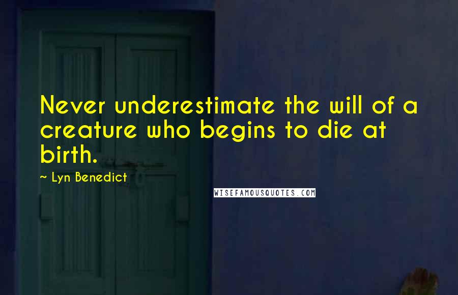 Lyn Benedict Quotes: Never underestimate the will of a creature who begins to die at birth.