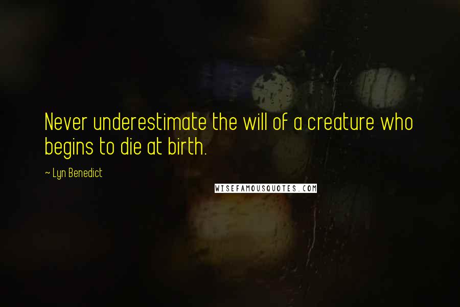 Lyn Benedict Quotes: Never underestimate the will of a creature who begins to die at birth.