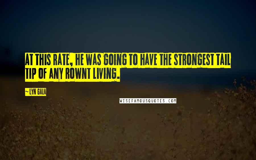Lyn Gala Quotes: At this rate, he was going to have the strongest tail tip of any Rownt living.