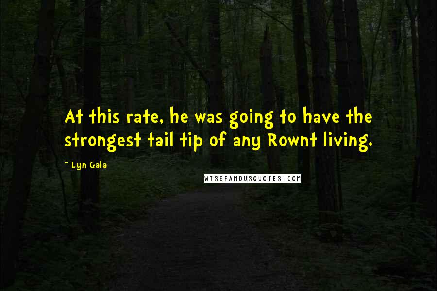 Lyn Gala Quotes: At this rate, he was going to have the strongest tail tip of any Rownt living.