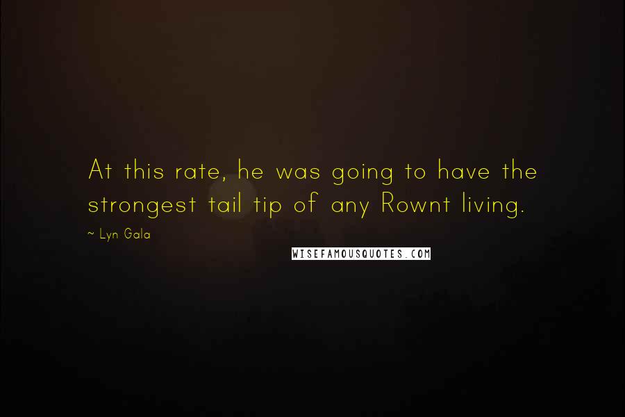 Lyn Gala Quotes: At this rate, he was going to have the strongest tail tip of any Rownt living.