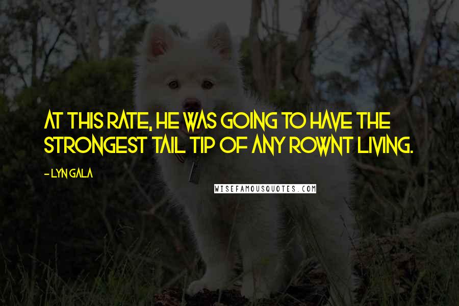 Lyn Gala Quotes: At this rate, he was going to have the strongest tail tip of any Rownt living.