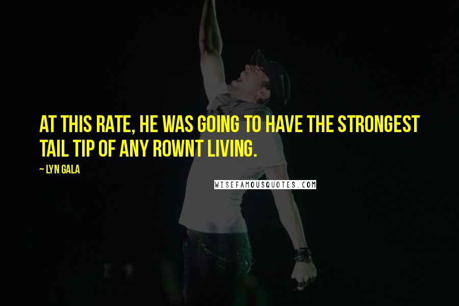 Lyn Gala Quotes: At this rate, he was going to have the strongest tail tip of any Rownt living.