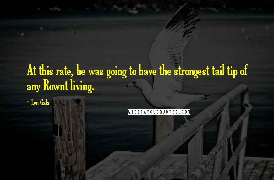 Lyn Gala Quotes: At this rate, he was going to have the strongest tail tip of any Rownt living.