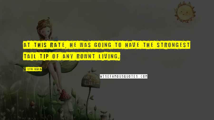 Lyn Gala Quotes: At this rate, he was going to have the strongest tail tip of any Rownt living.