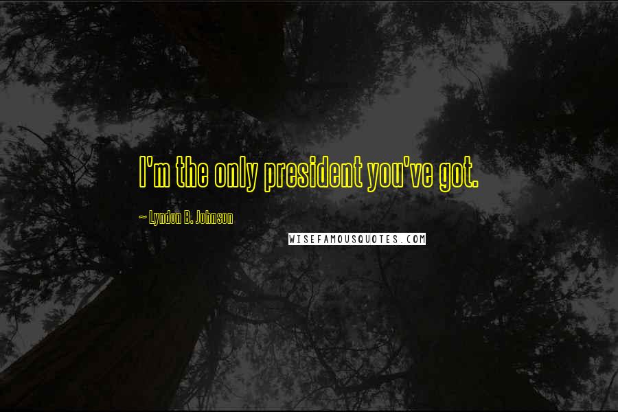 Lyndon B. Johnson Quotes: I'm the only president you've got.