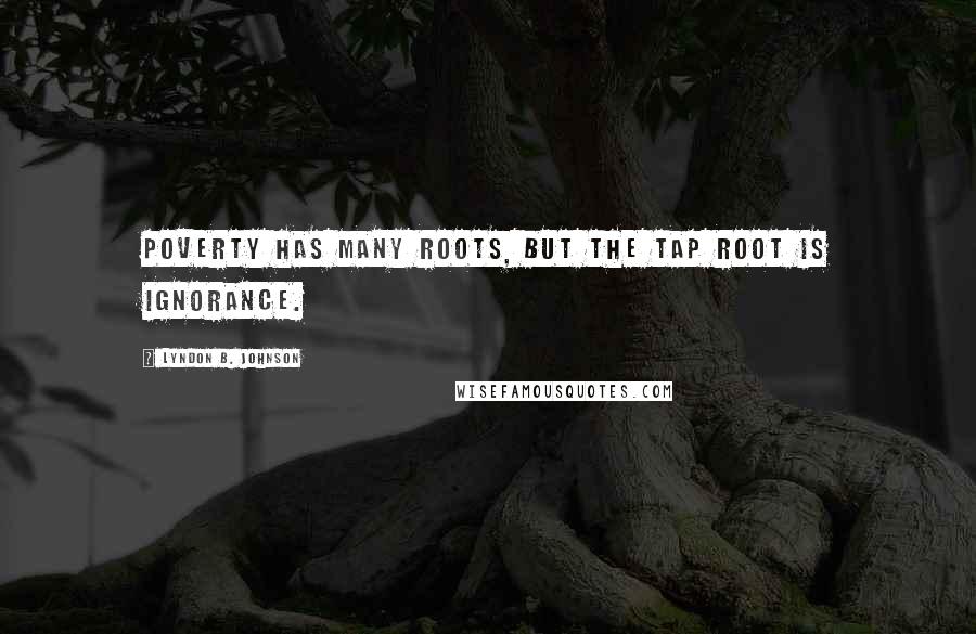 Lyndon B. Johnson Quotes: Poverty has many roots, but the tap root is ignorance.