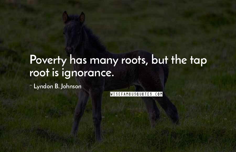 Lyndon B. Johnson Quotes: Poverty has many roots, but the tap root is ignorance.