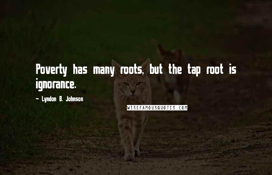 Lyndon B. Johnson Quotes: Poverty has many roots, but the tap root is ignorance.