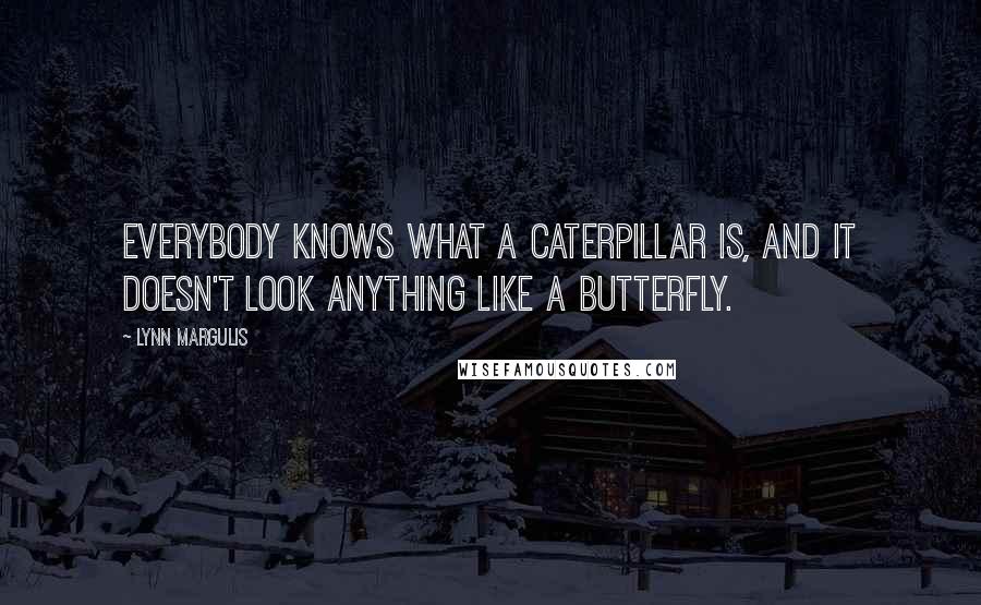 Lynn Margulis Quotes: Everybody knows what a caterpillar is, and it doesn't look anything like a butterfly.