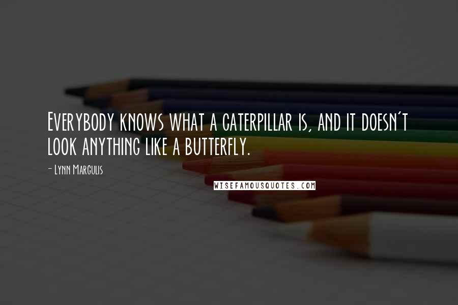 Lynn Margulis Quotes: Everybody knows what a caterpillar is, and it doesn't look anything like a butterfly.