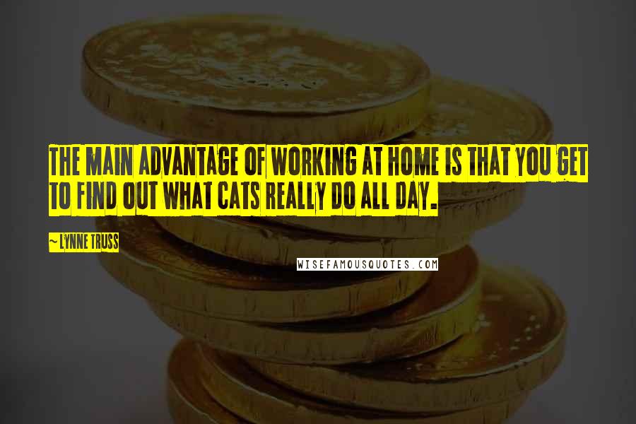 Lynne Truss Quotes: The main advantage of working at home is that you get to find out what cats really do all day.