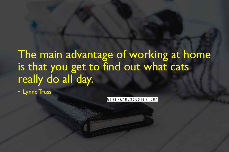 Lynne Truss Quotes: The main advantage of working at home is that you get to find out what cats really do all day.