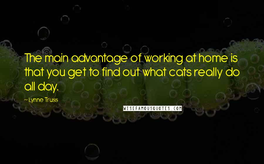 Lynne Truss Quotes: The main advantage of working at home is that you get to find out what cats really do all day.