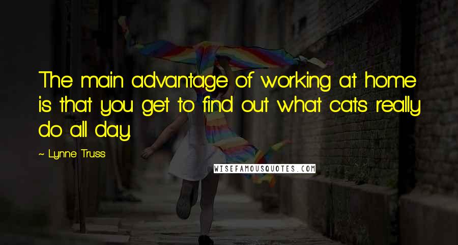 Lynne Truss Quotes: The main advantage of working at home is that you get to find out what cats really do all day.