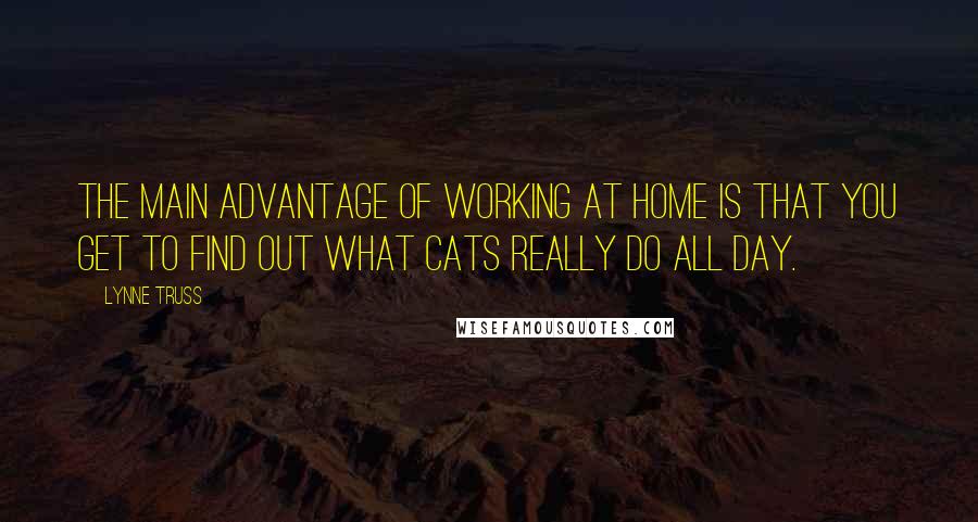 Lynne Truss Quotes: The main advantage of working at home is that you get to find out what cats really do all day.