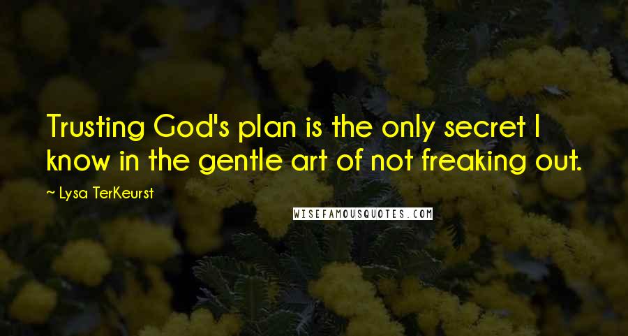Lysa TerKeurst Quotes: Trusting God's plan is the only secret I know in the gentle art of not freaking out.