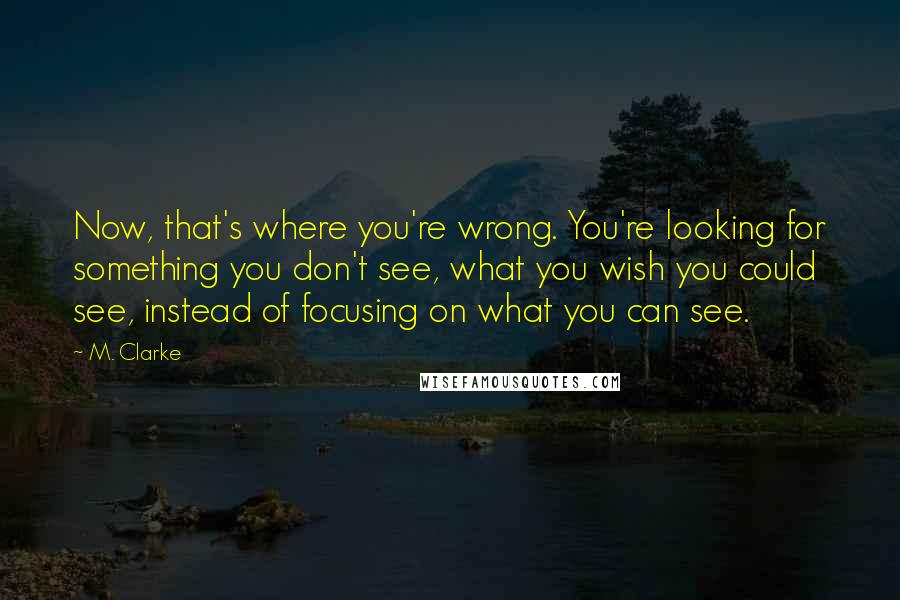 M. Clarke Quotes: Now, that's where you're wrong. You're looking for something you don't see, what you wish you could see, instead of focusing on what you can see.