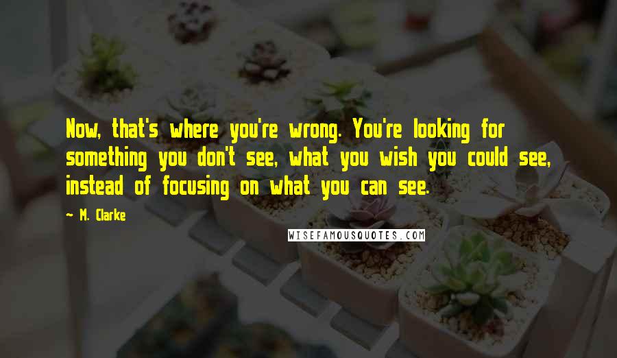 M. Clarke Quotes: Now, that's where you're wrong. You're looking for something you don't see, what you wish you could see, instead of focusing on what you can see.