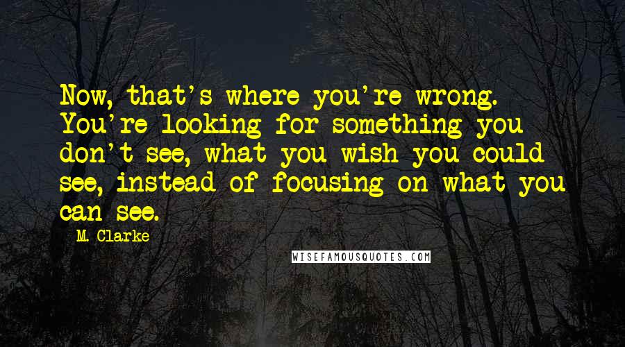 M. Clarke Quotes: Now, that's where you're wrong. You're looking for something you don't see, what you wish you could see, instead of focusing on what you can see.