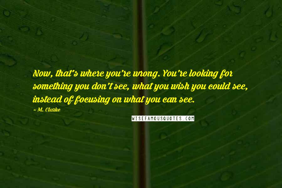 M. Clarke Quotes: Now, that's where you're wrong. You're looking for something you don't see, what you wish you could see, instead of focusing on what you can see.