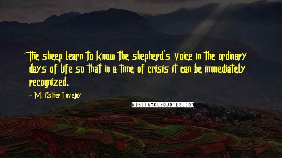 M. Esther Lovejoy Quotes: The sheep learn to know the shepherd's voice in the ordinary days of life so that in a time of crisis it can be immediately recognized.