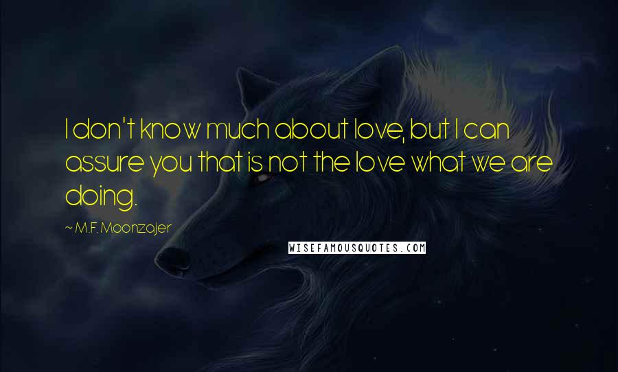 M.F. Moonzajer Quotes: I don't know much about love, but I can assure you that is not the love what we are doing.