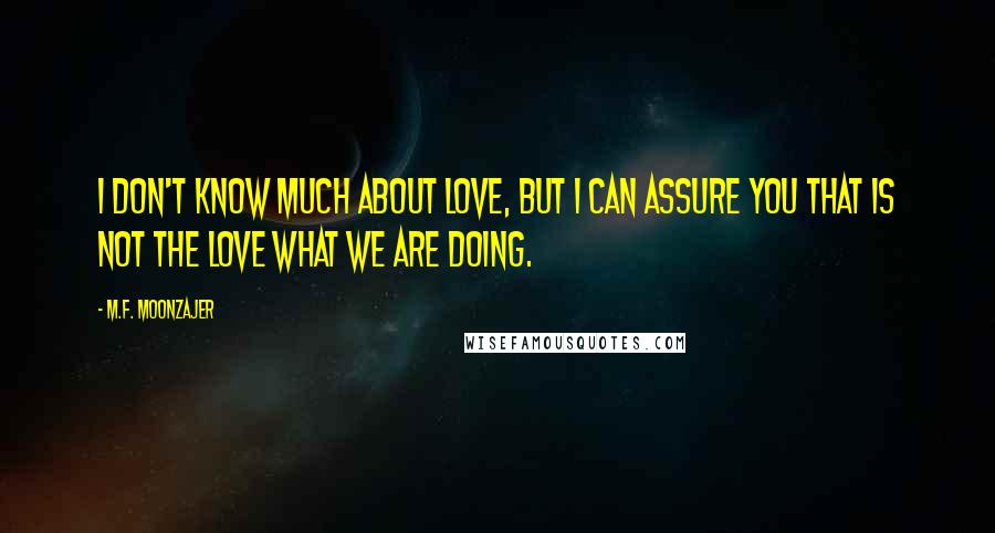 M.F. Moonzajer Quotes: I don't know much about love, but I can assure you that is not the love what we are doing.