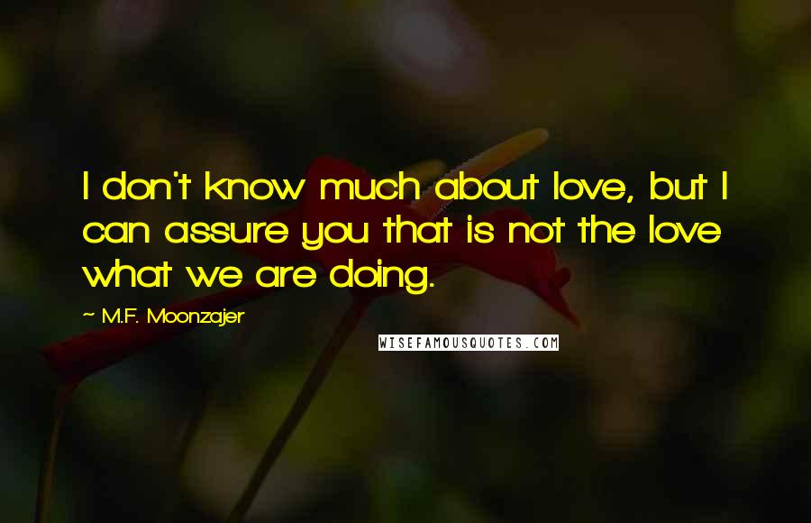 M.F. Moonzajer Quotes: I don't know much about love, but I can assure you that is not the love what we are doing.