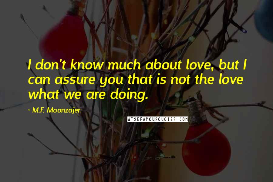 M.F. Moonzajer Quotes: I don't know much about love, but I can assure you that is not the love what we are doing.