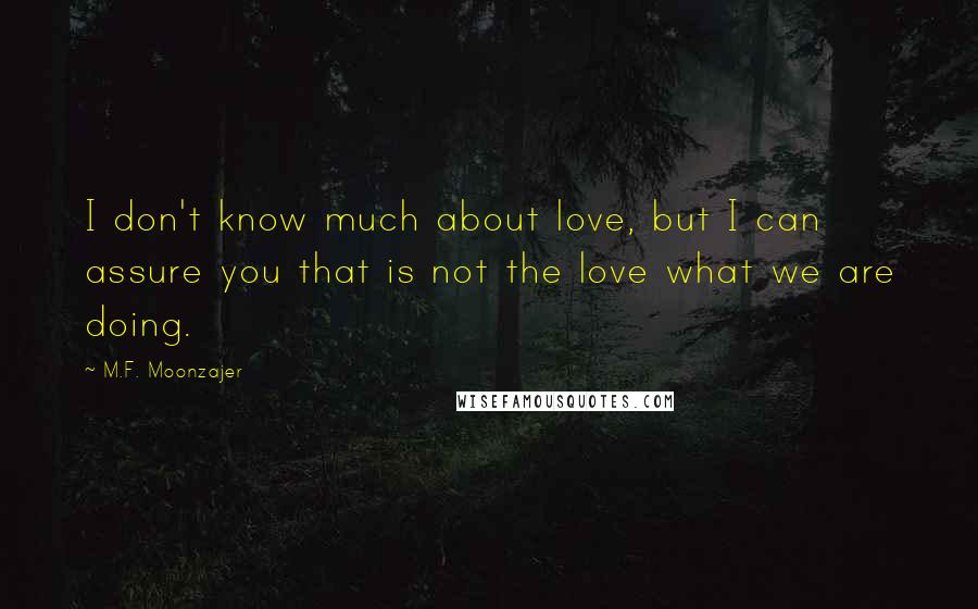 M.F. Moonzajer Quotes: I don't know much about love, but I can assure you that is not the love what we are doing.