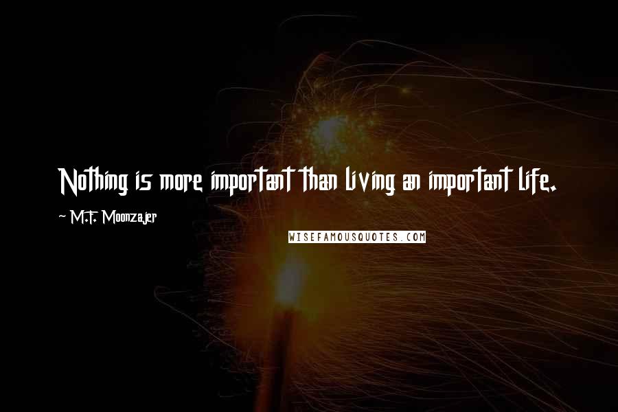 M.F. Moonzajer Quotes: Nothing is more important than living an important life.