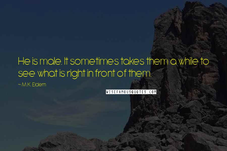 M.K. Eidem Quotes: He is male. It sometimes takes them a while to see what is right in front of them.