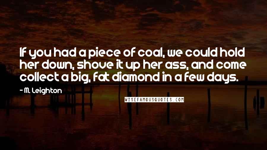 M. Leighton Quotes: If you had a piece of coal, we could hold her down, shove it up her ass, and come collect a big, fat diamond in a few days.