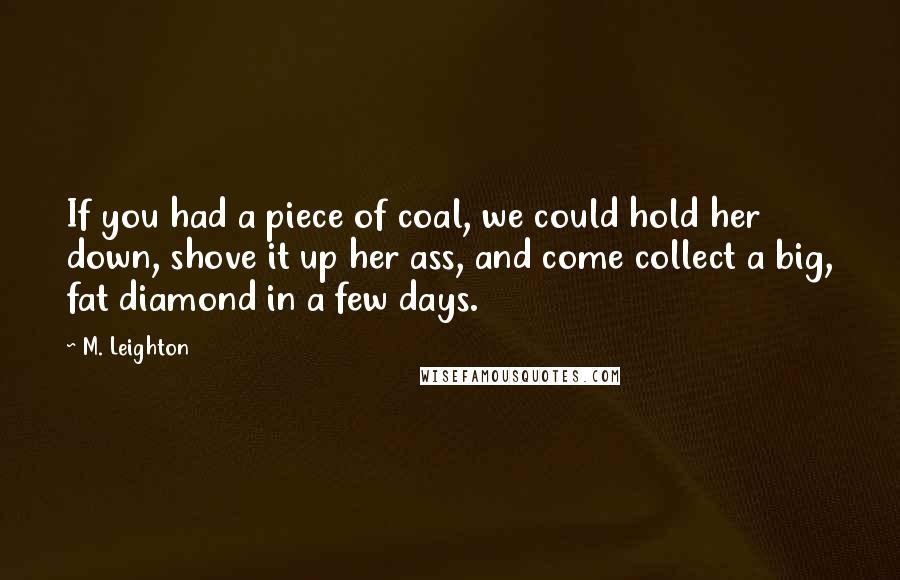 M. Leighton Quotes: If you had a piece of coal, we could hold her down, shove it up her ass, and come collect a big, fat diamond in a few days.