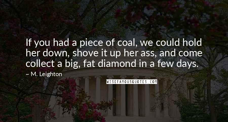 M. Leighton Quotes: If you had a piece of coal, we could hold her down, shove it up her ass, and come collect a big, fat diamond in a few days.