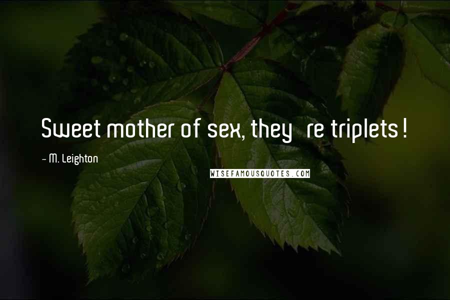 M. Leighton Quotes: Sweet mother of sex, they're triplets!